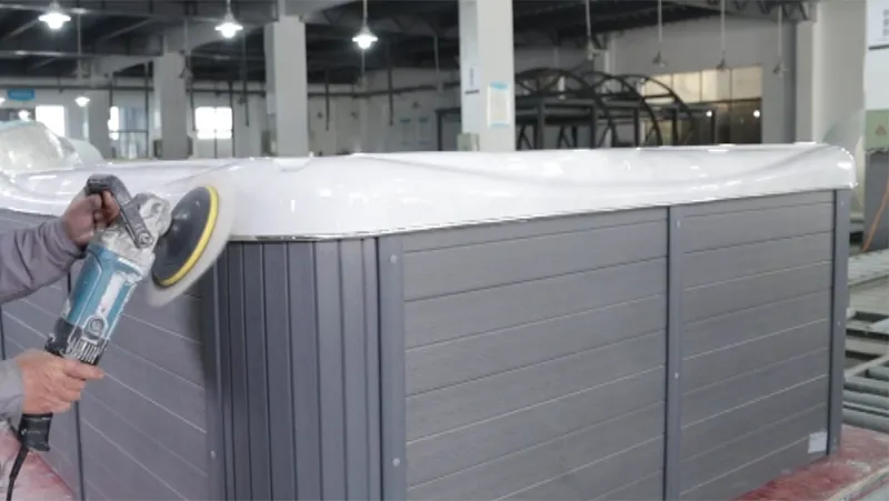 Polishing and Appearance Inspection